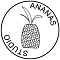 ananas studio diy's Avatar