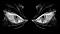 batchit's Avatar