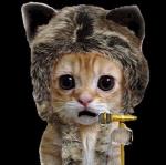 bmarioni's Avatar