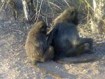 Keith John Botha's Avatar