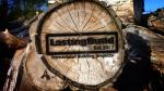 LastingBuild's Avatar