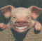 MadTrapper's Avatar