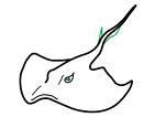 stingraygs's Avatar