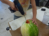 Watermelon Juicer