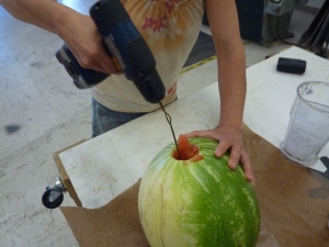 Watermelon Juicer