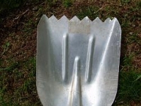 Shark Tooth Shovel