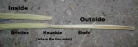 Broom